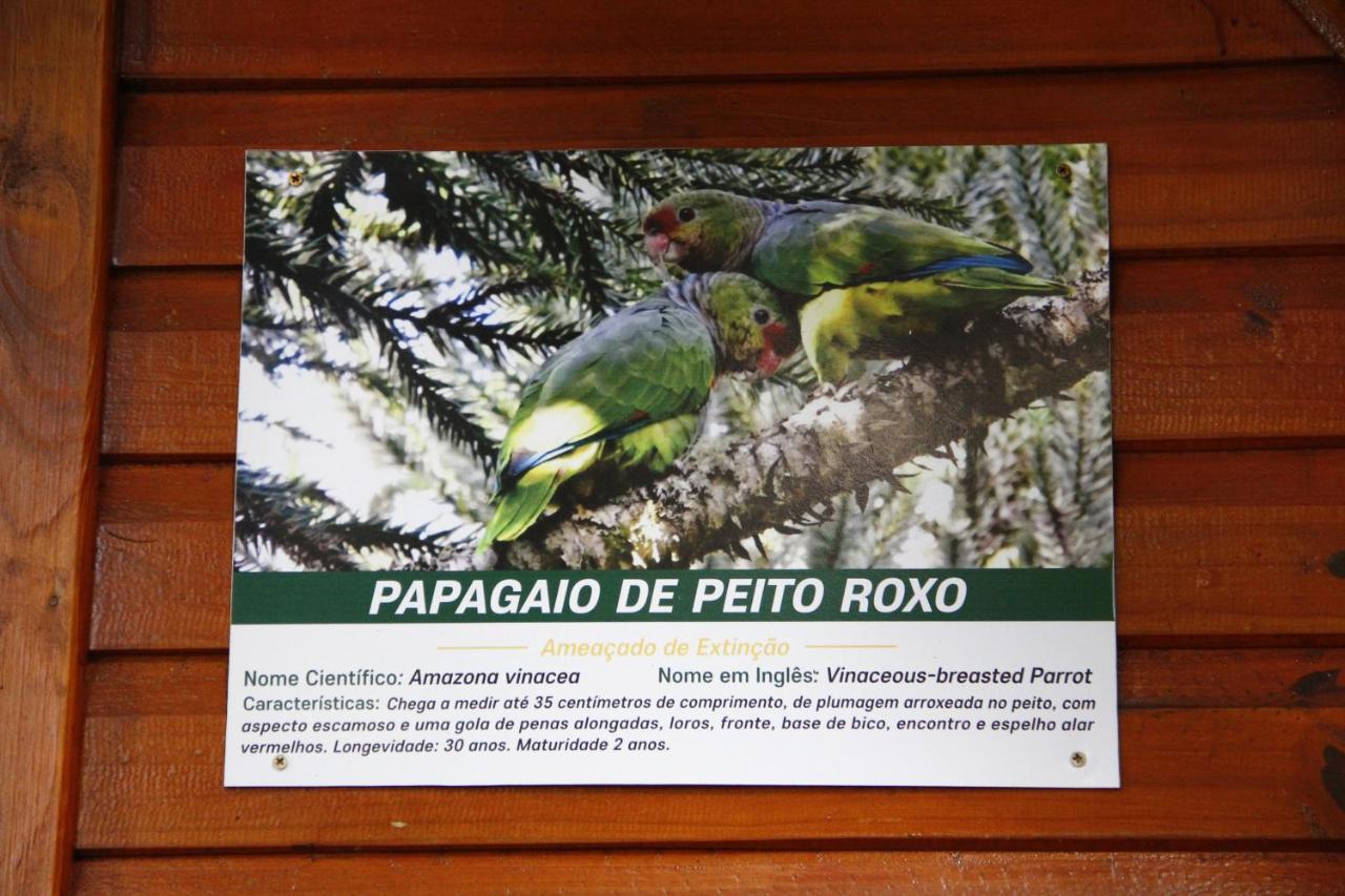 Recanto Da Mata Pousada Сан-Франсиску-ди-Паула Экстерьер фото
