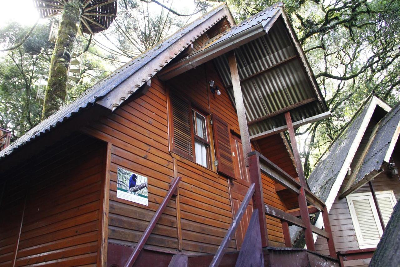 Recanto Da Mata Pousada Сан-Франсиску-ди-Паула Экстерьер фото