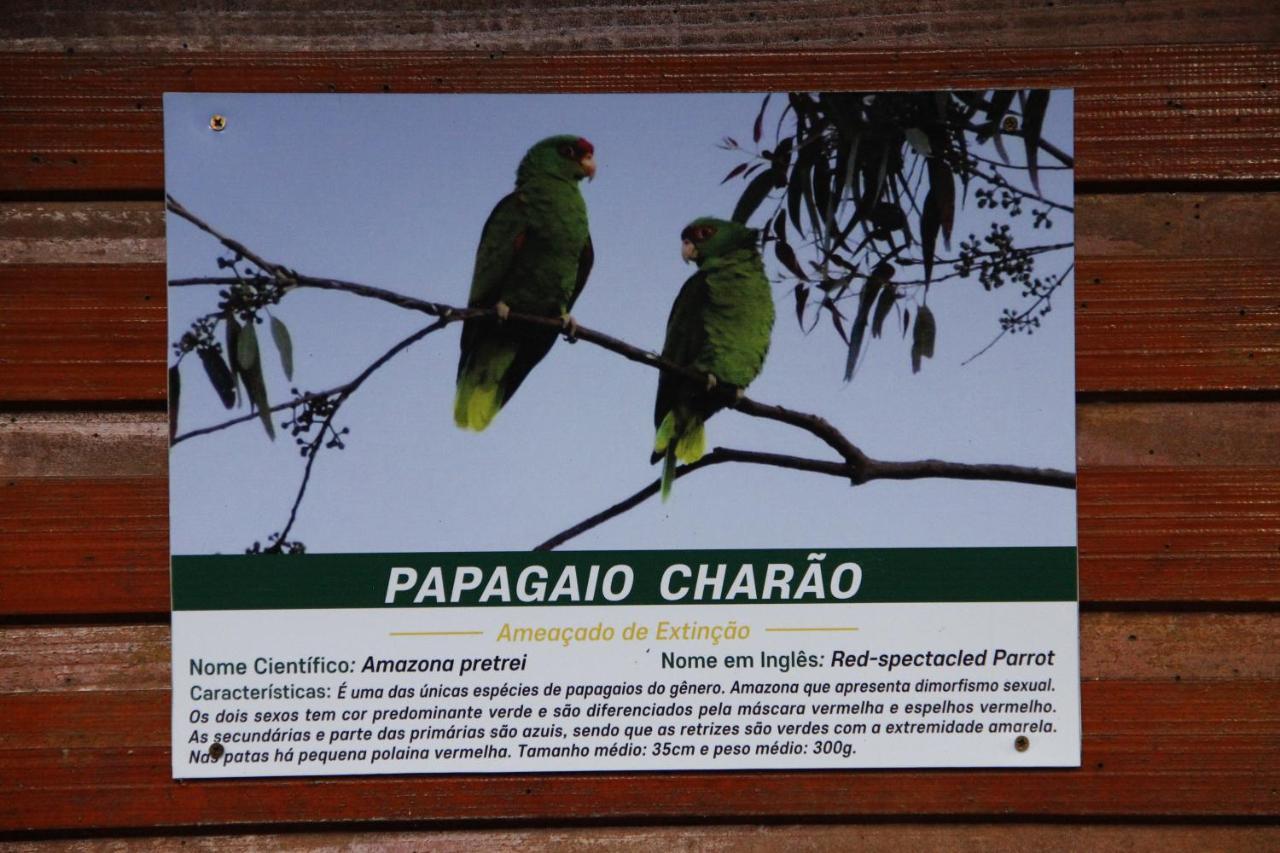 Recanto Da Mata Pousada Сан-Франсиску-ди-Паула Экстерьер фото